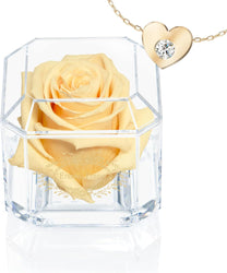 SOLO WITH NECKLACE