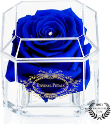 SOLO DARK BLUE WITH CLEAR CRYSTAL