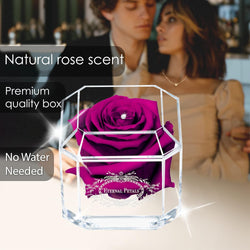 SOLO PLUM  WITH CLEAR CRYSTAL
