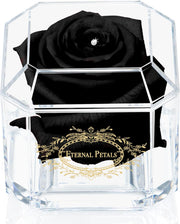 SOLO BLACK WITH CLEAR CRYSTAL