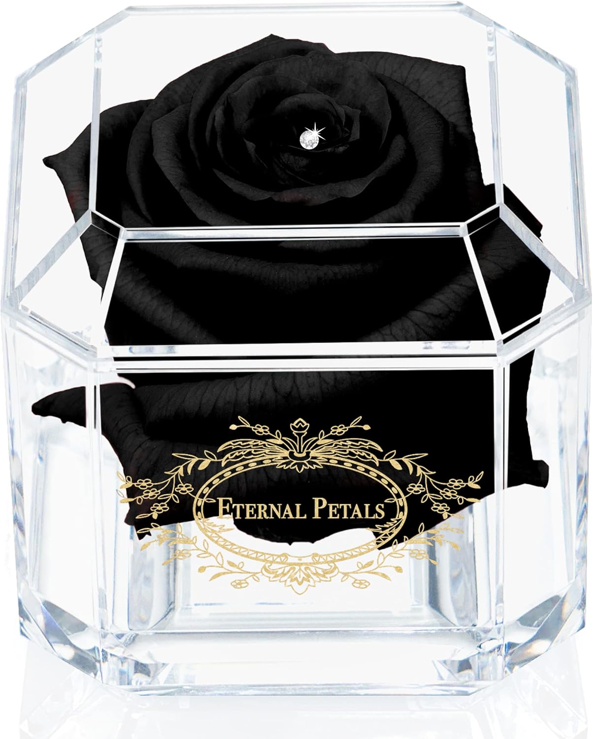SOLO BLACK WITH CLEAR CRYSTAL