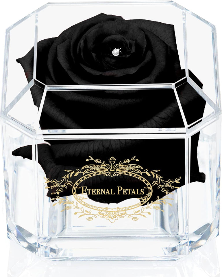 SOLO BLACK WITH CLEAR CRYSTAL