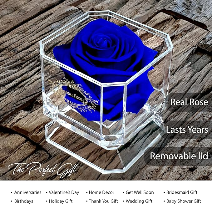 SOLO DARK BLUE WITH NECKLACE & GIFT WRAP