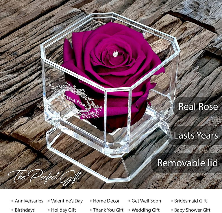 SOLO PLUM  WITH CLEAR CRYSTAL