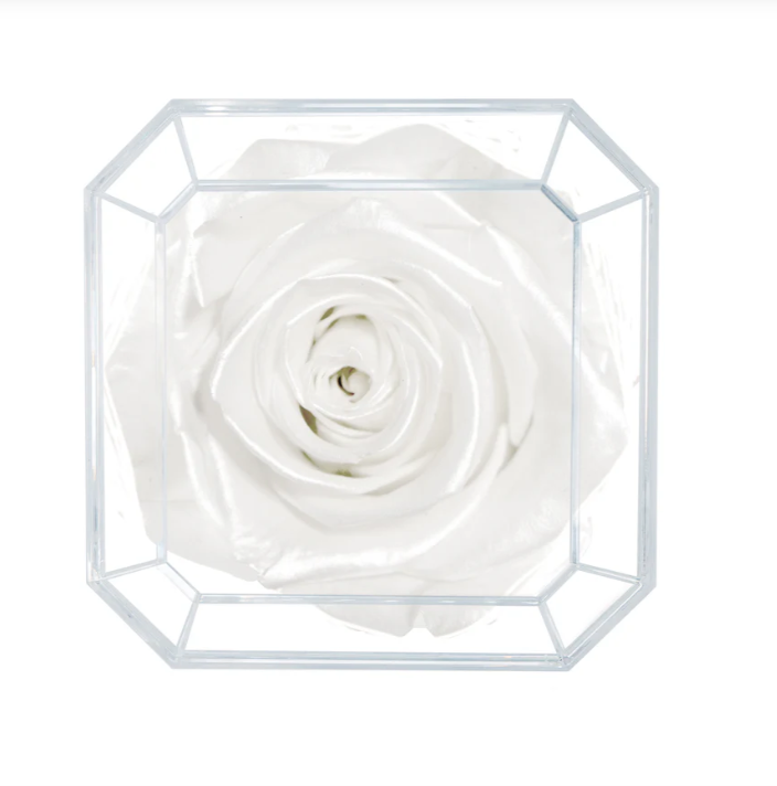 Eternal Petals