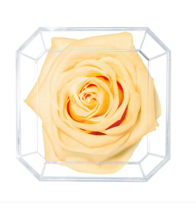 Eternal Petals