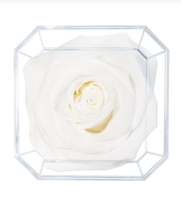 Eternal Petals