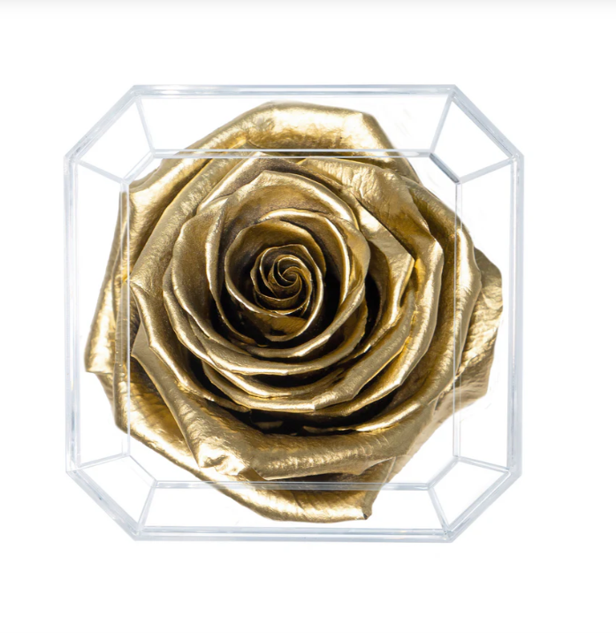 Eternal Petals