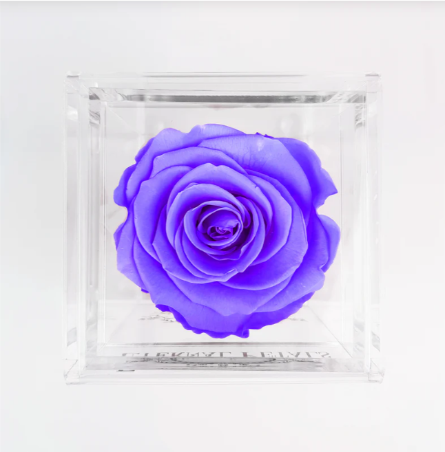 Eternal Petals