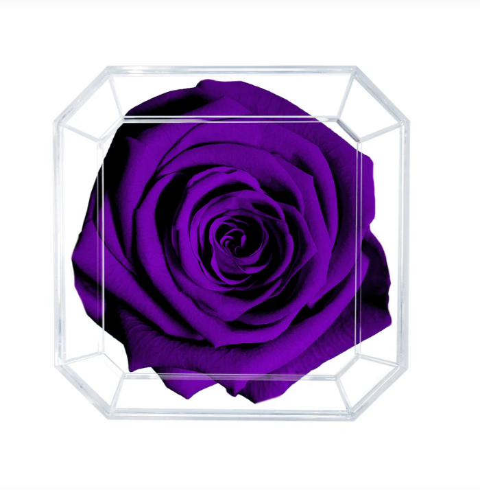 Eternal Petals