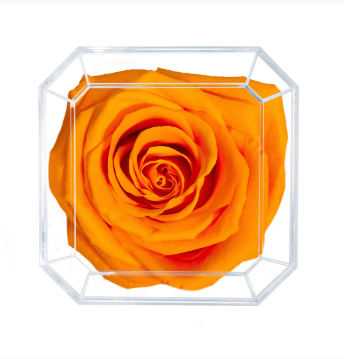 Eternal Petals