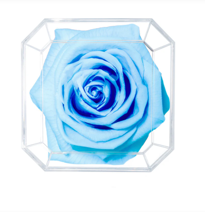Eternal Petals