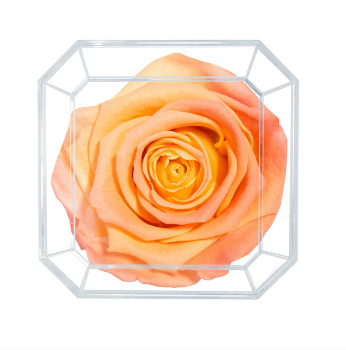 Eternal Petals