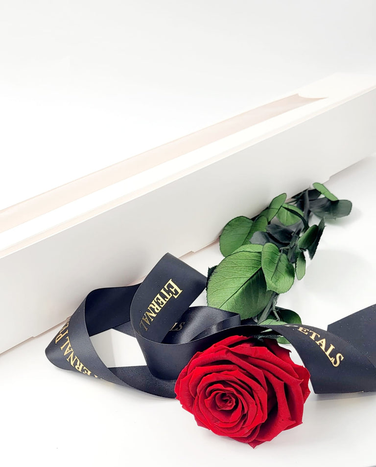 ROSE WITH STEM