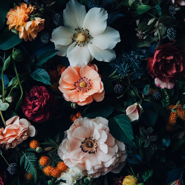 Eternal Petals