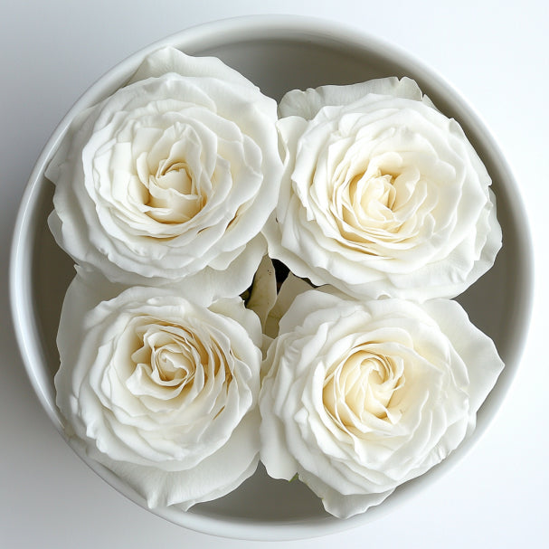 Eternal Petals