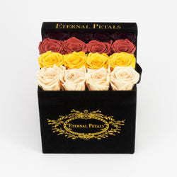 WARM OMBRE | BLACK FLOWER BOX