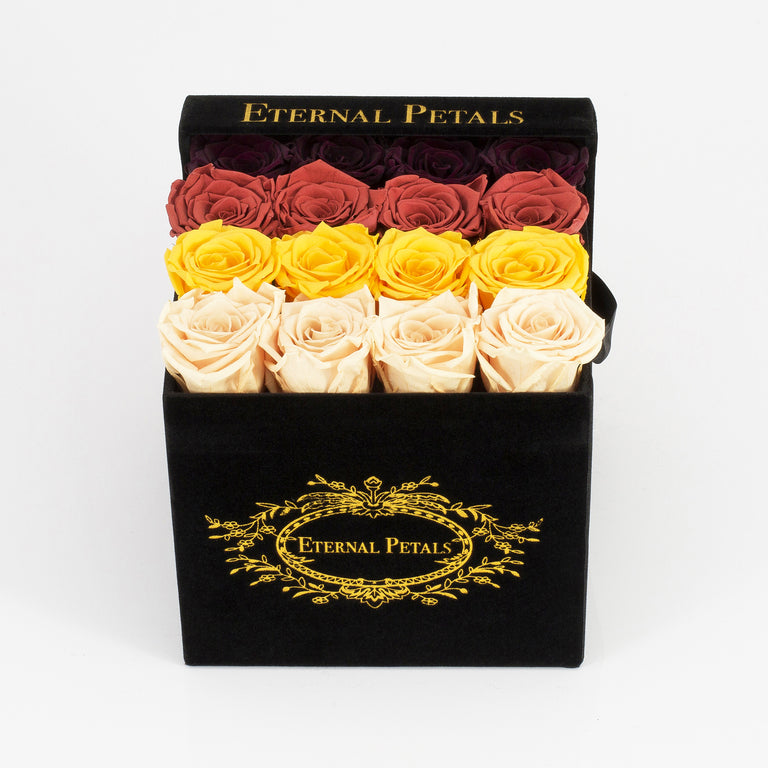 WARM OMBRE | BLACK FLOWER BOX