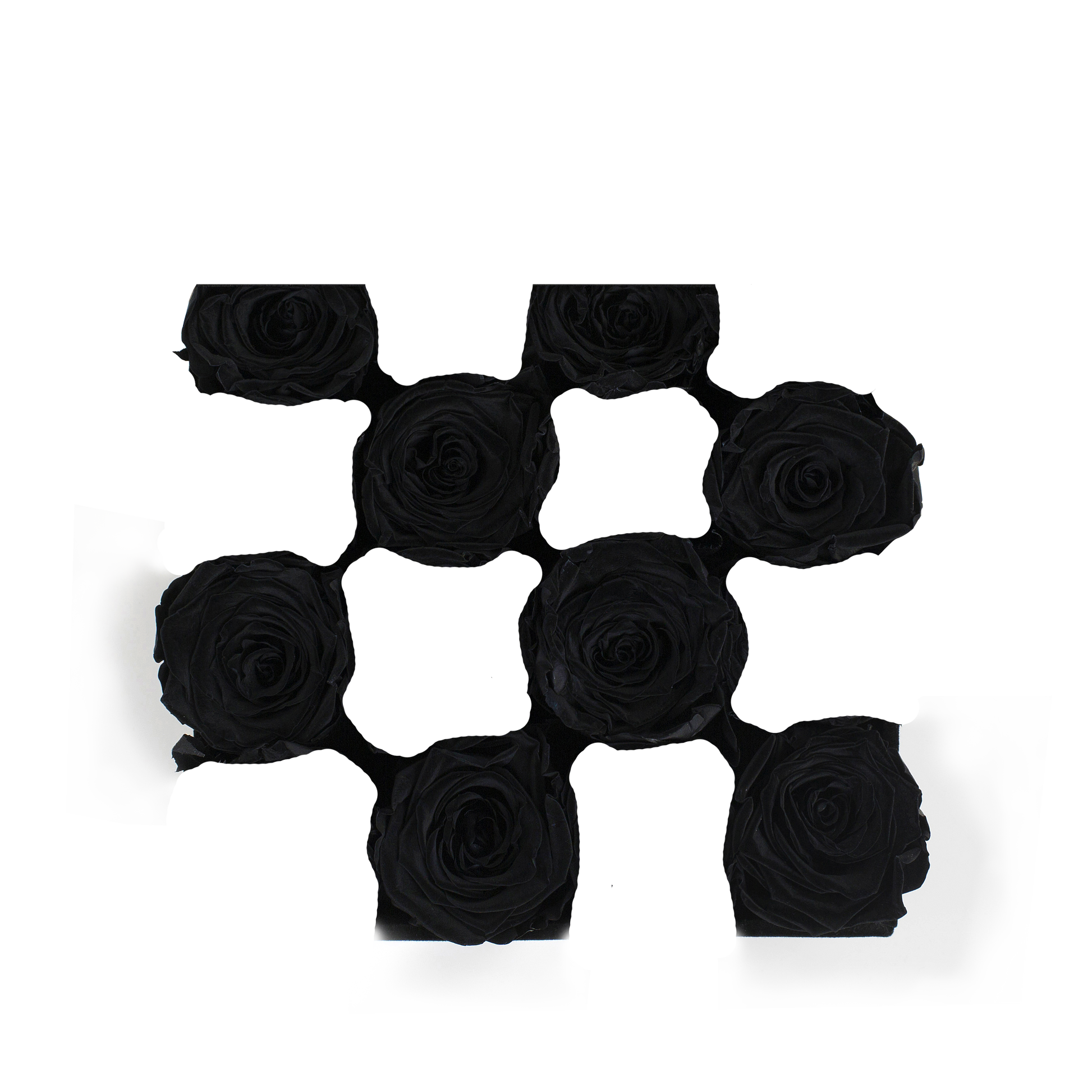 SECOND ROSE COLOR - BLACK DIAMOND
