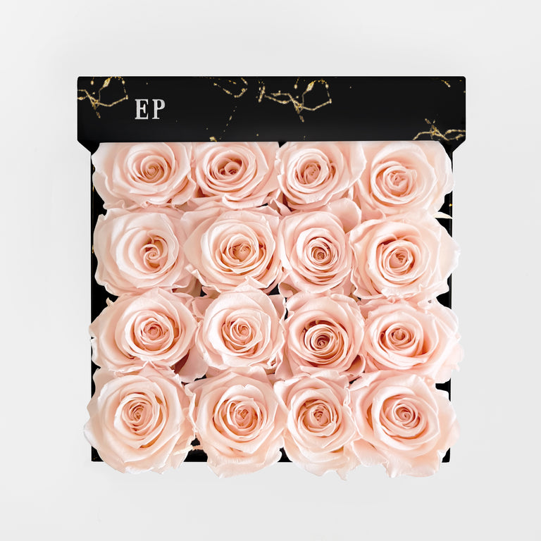 BLUSH | BLACK MARBLE