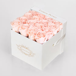 BLUSH | WHITE FLOWER BOX