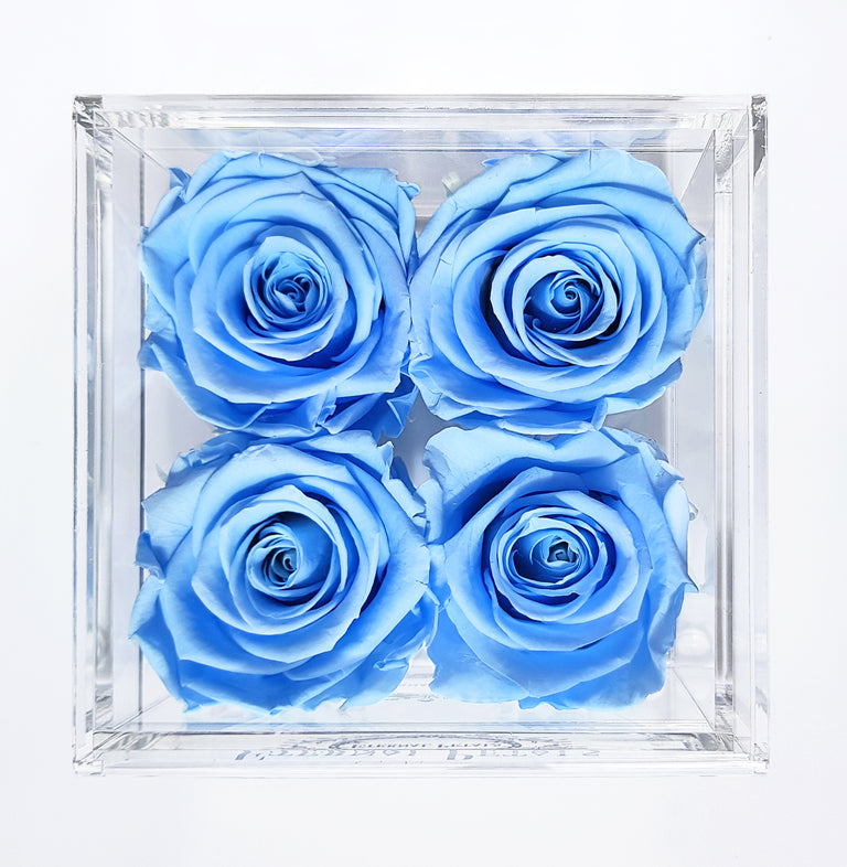 QUARTET | BABY BLUE