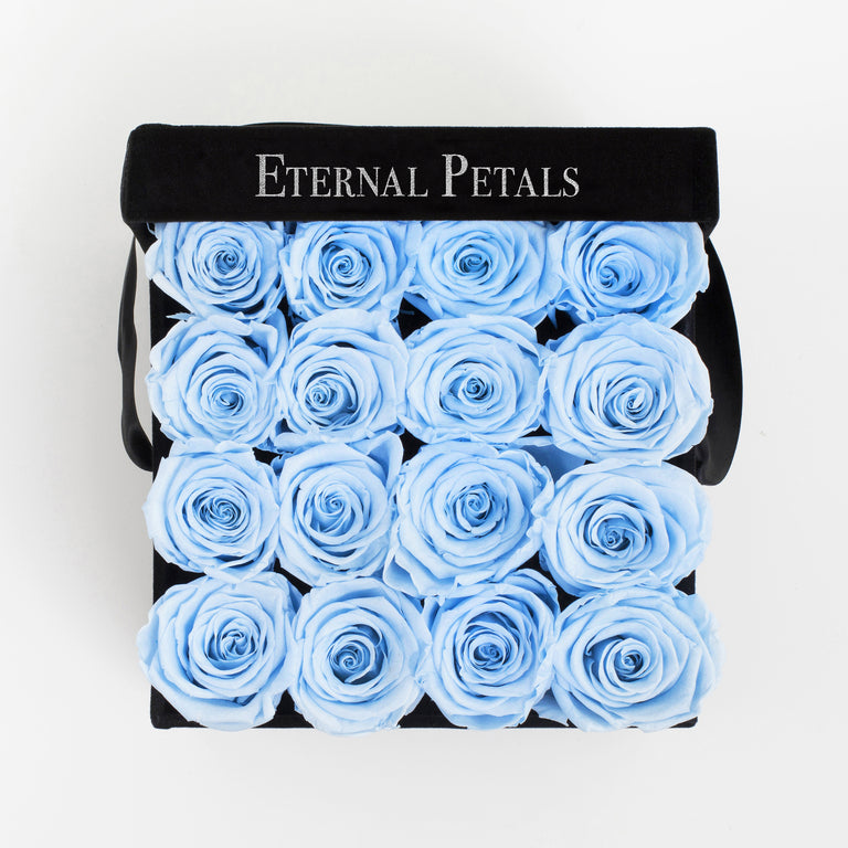 BABY BLUE | BLACK FLOWER BOX