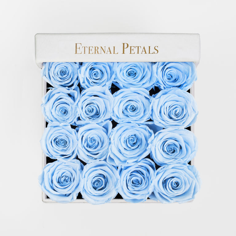 BABY BLUE | WHITE FLOWER BOX