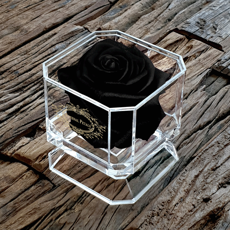 SOLO | BLACK DIAMOND