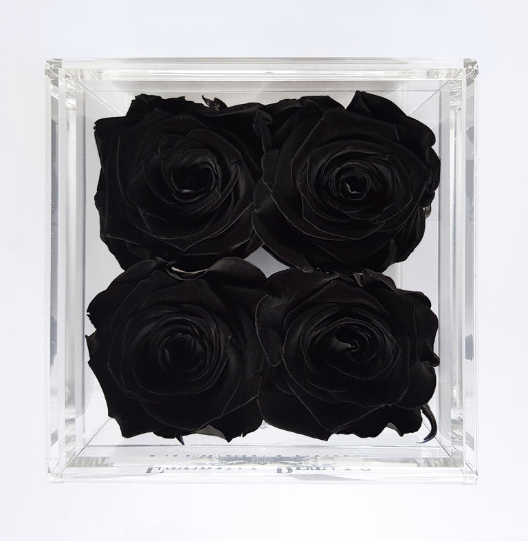 QUARTET | BLACK DIAMOND