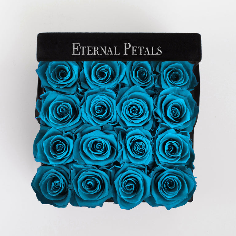BLUE LAGOON | BLACK FLOWER BOX