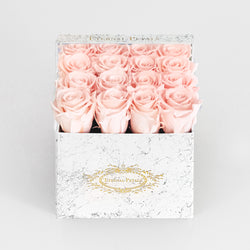 BLUSH | MARBLE