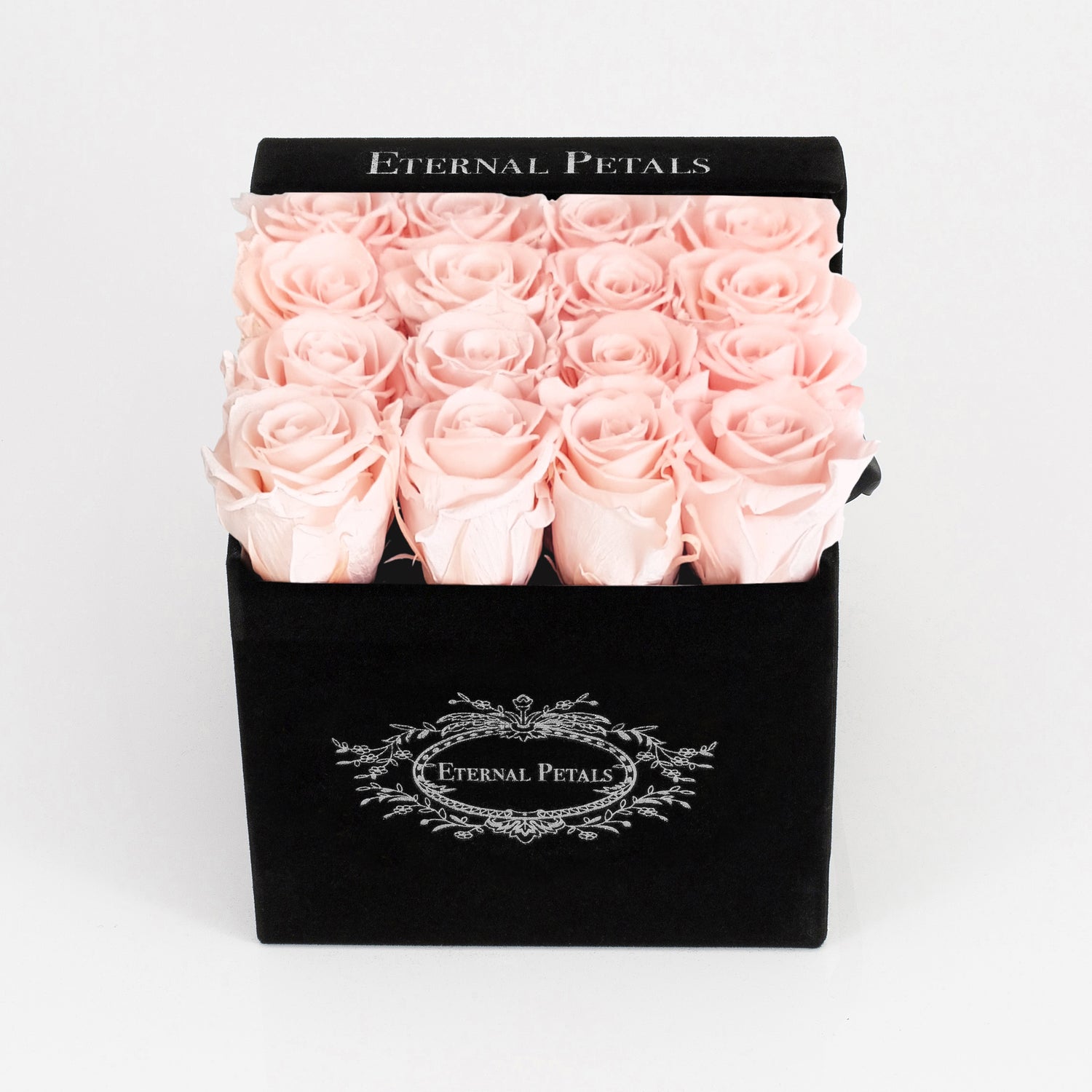 BLUSH | BLACK FLOWER BOX