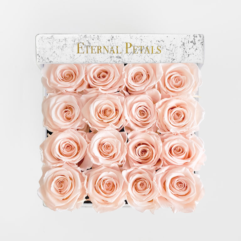 BLUSH | MARBLE