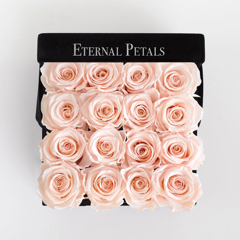 BLUSH | BLACK FLOWER BOX