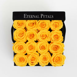 BUMBLEBEE | BLACK FLOWER BOX
