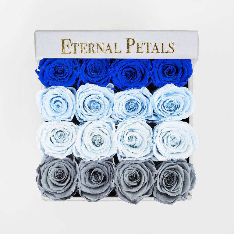 COOL OMBRE | WHITE FLOWER BOX