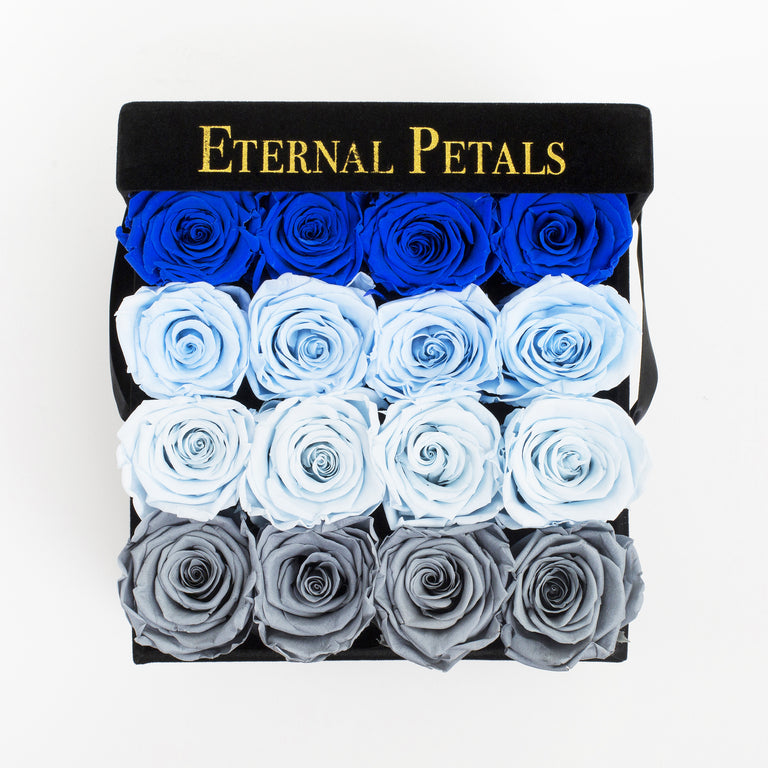 COOL OMBRE | BLACK FlOWER BOX