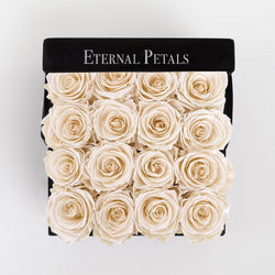 CHAMPAGNE SATIN | BLACK FLOWER BOX