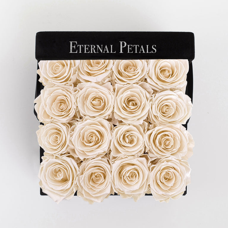 CHAMPAGNE SATIN | BLACK FLOWER BOX