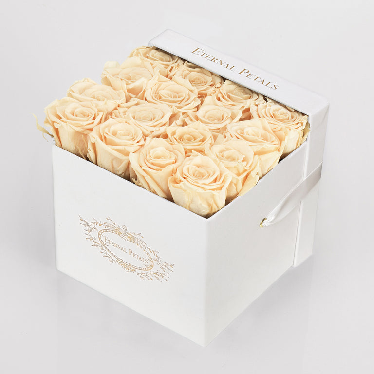 CHAMPAGNE | WHITE FLOWER BOX