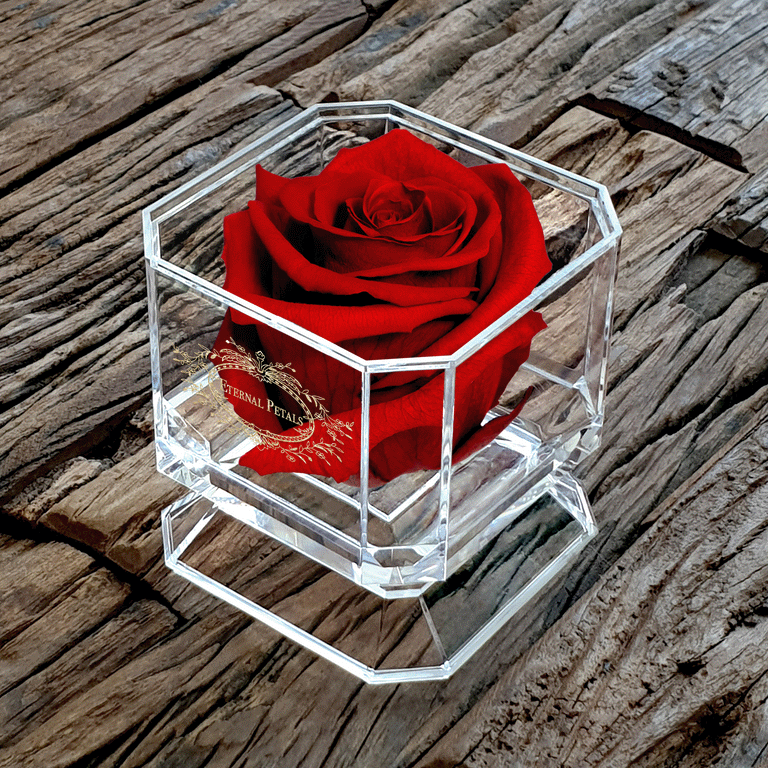 DIAMOND | DEEP LOVE