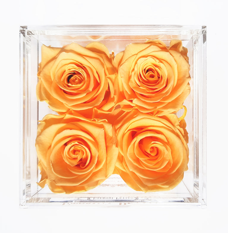 QUARTET | PEACH