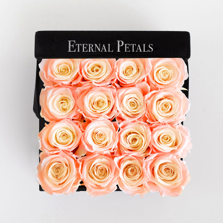 DOUBLE PEACH | BLACK FLOWER BOX