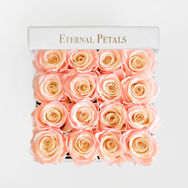 DOUBLE PEACH | WHITE FLOWER BOX