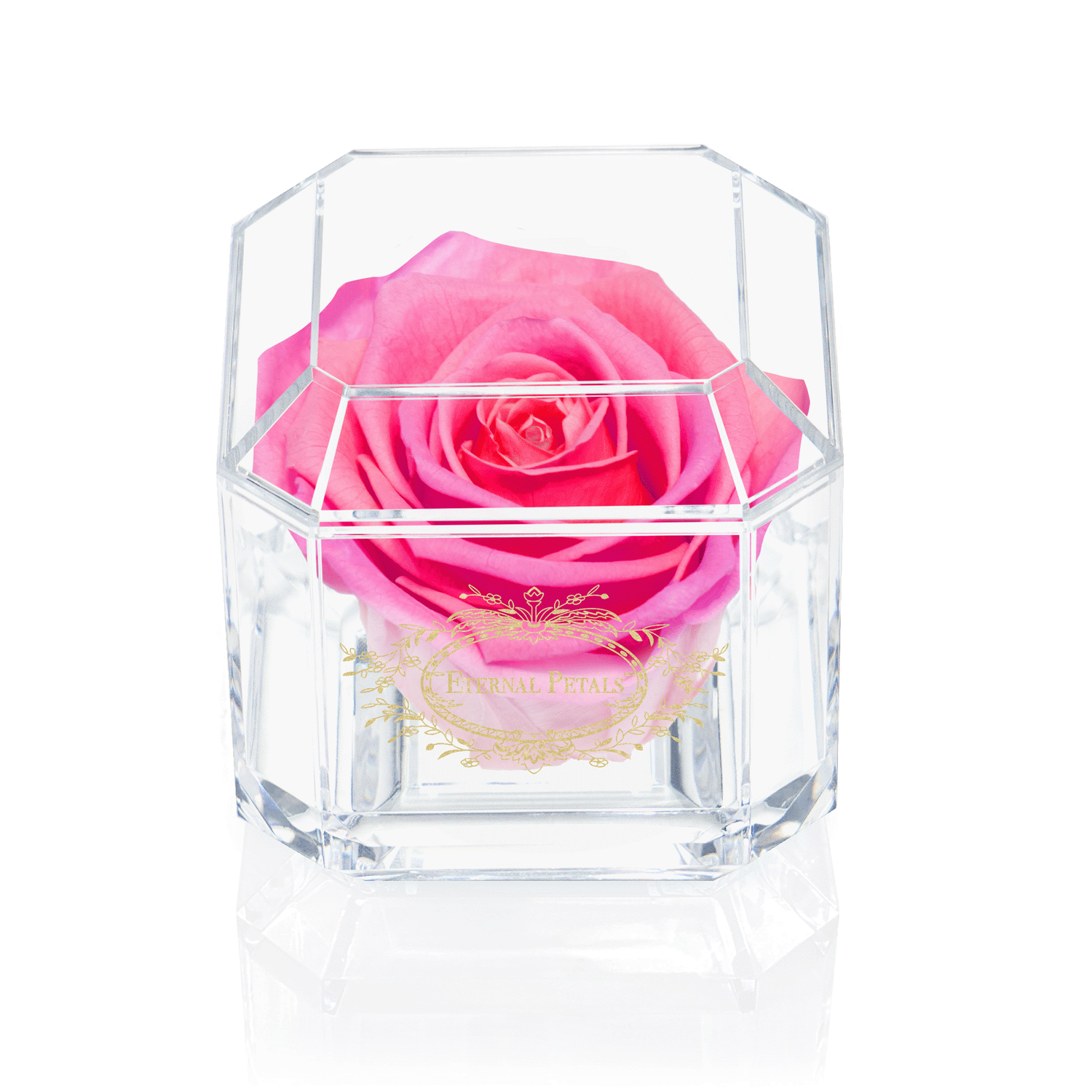 SOLO | DOUBLE PINK