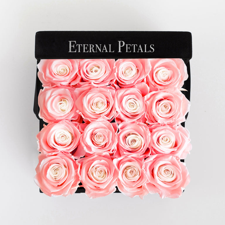DOUBLE PINK | BLACK FLOWER BOX