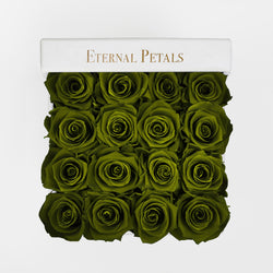 KHAKI | WHITE FLOWER BOX