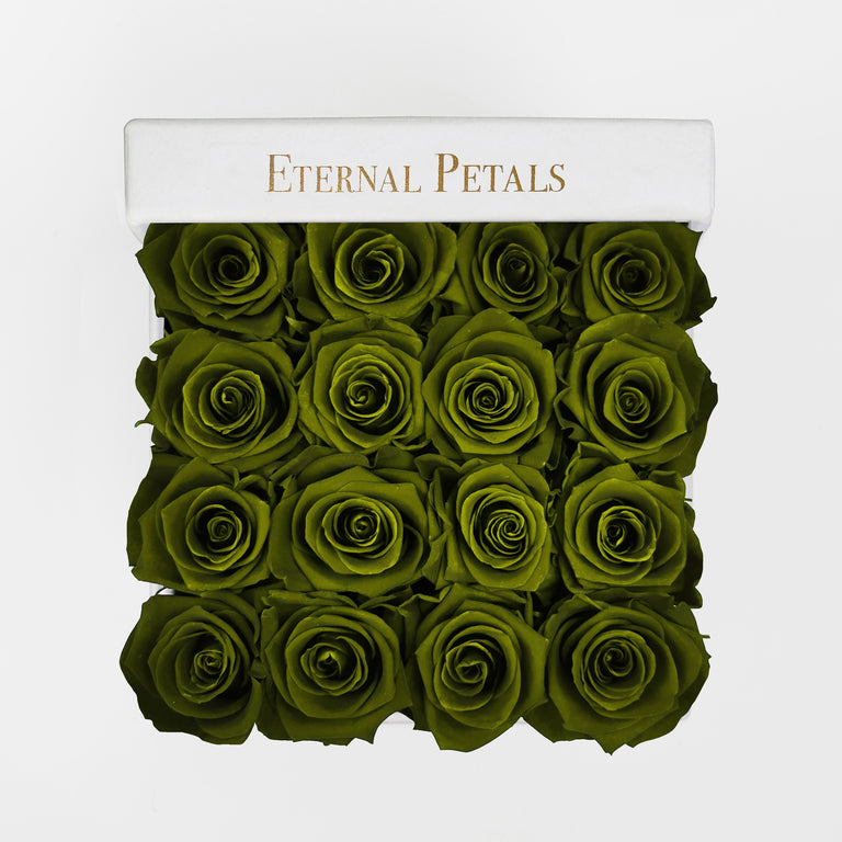 KHAKI | WHITE FLOWER BOX