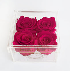 QUARTET | FUCHSIA